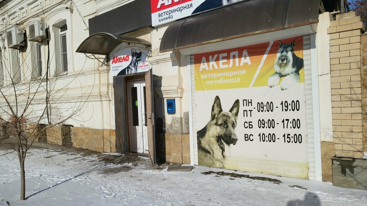 Фото клиники 31234