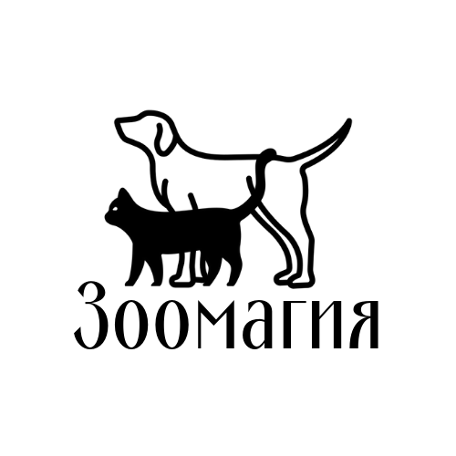 Логотип клиники
