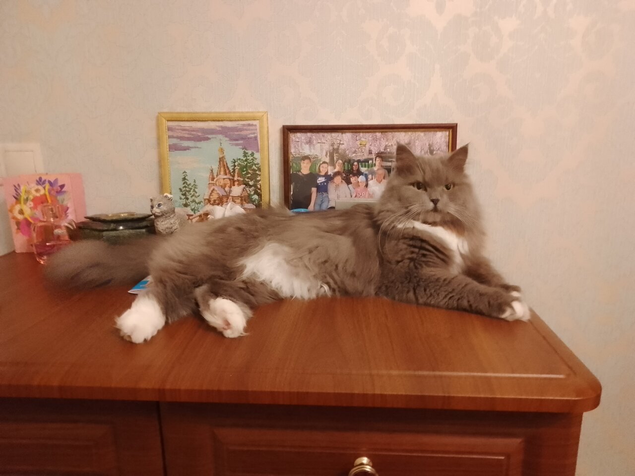 Фото клиники 77270