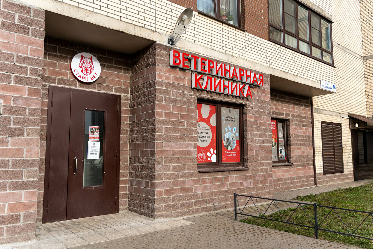 Фото «СтаркВет»