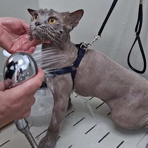 clinic general image