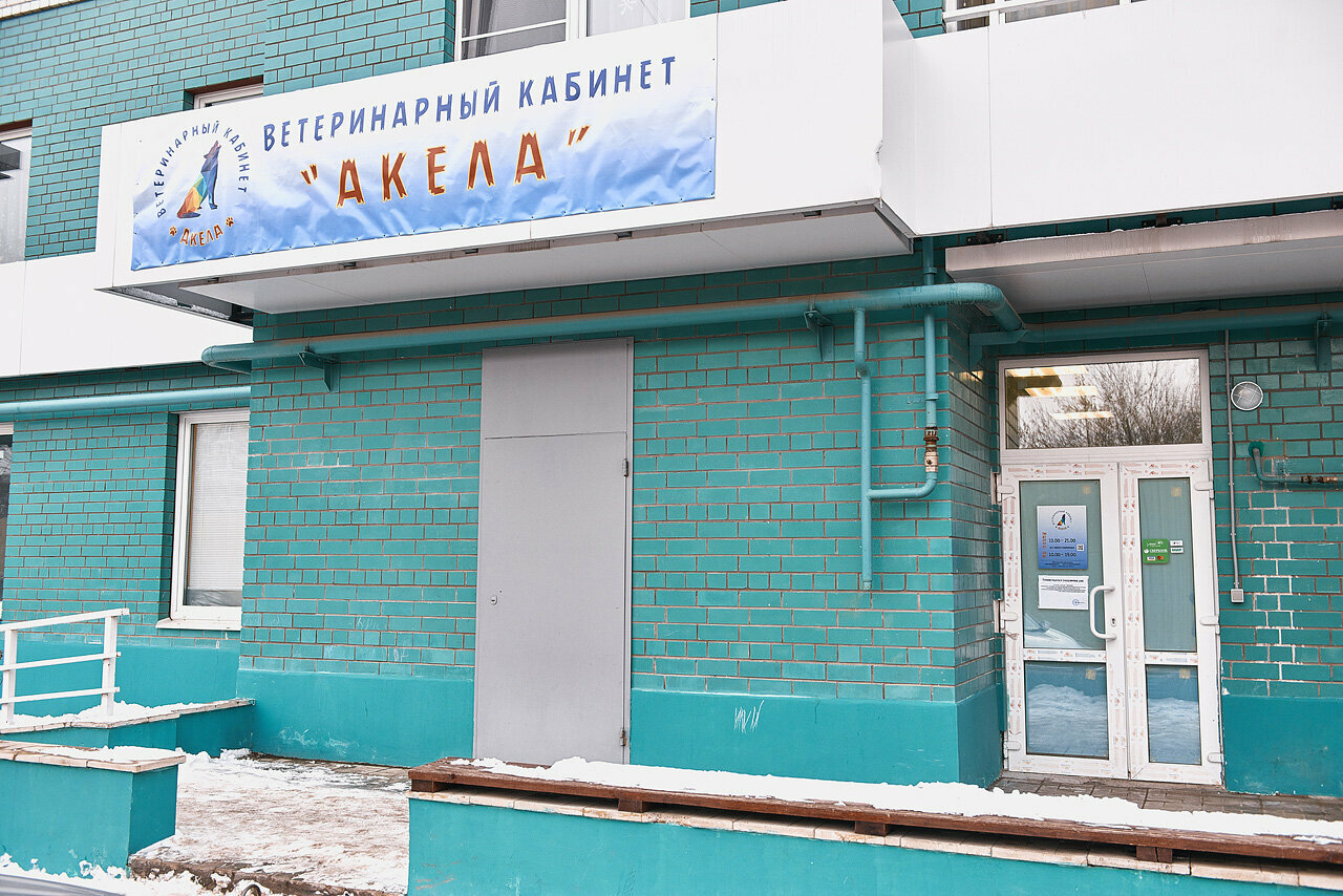 Фото «Акела»