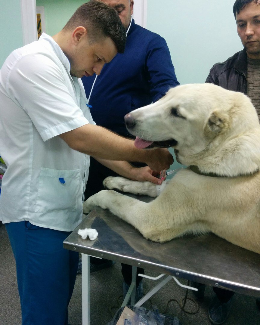 more clinic photos 15663