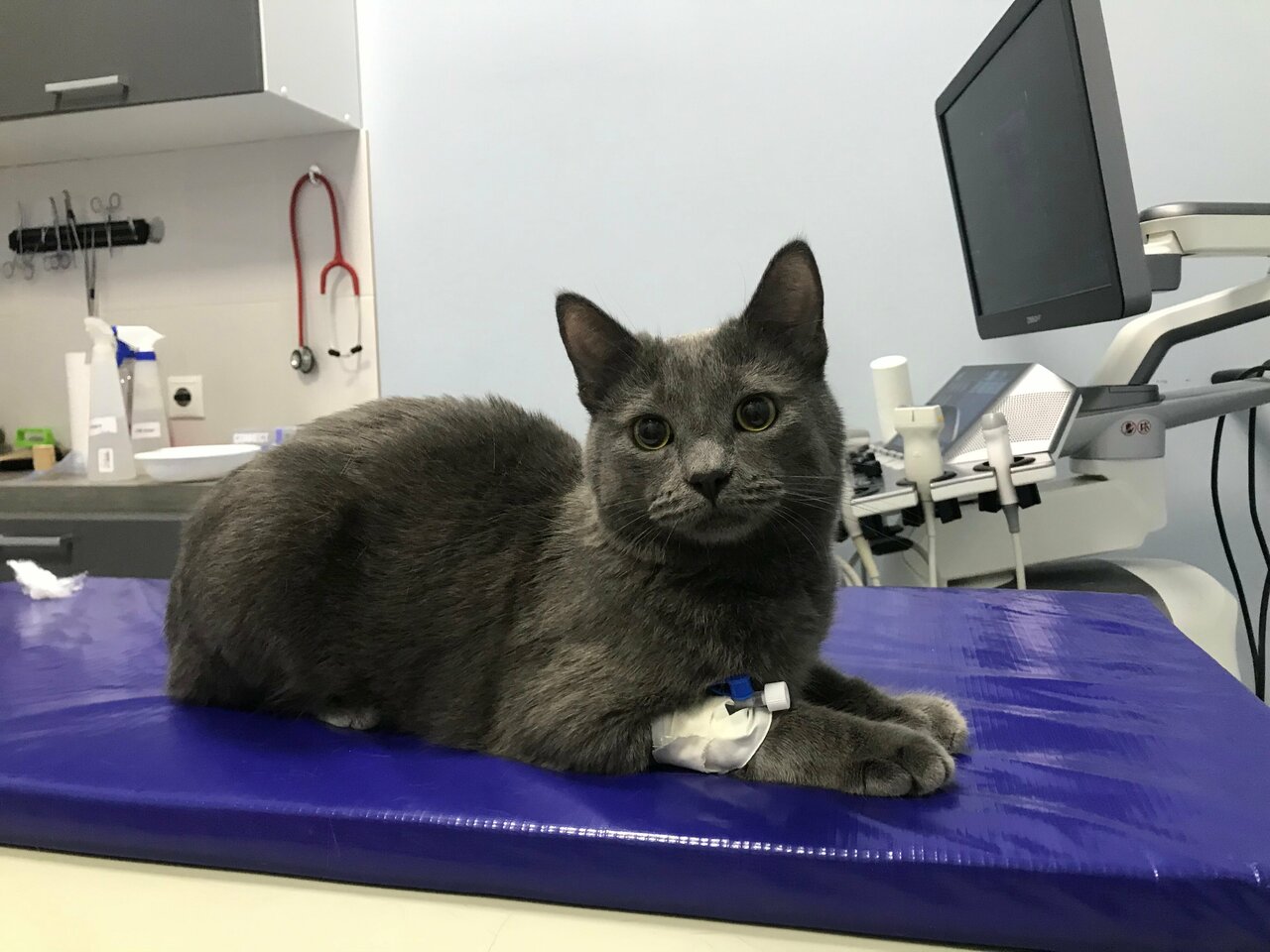 more clinic photos 78441