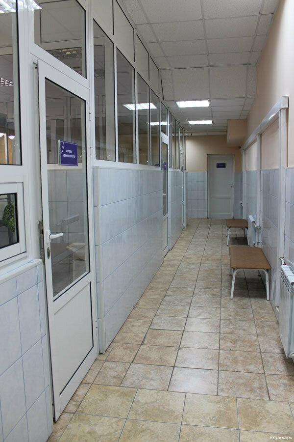 more clinic photos 12097