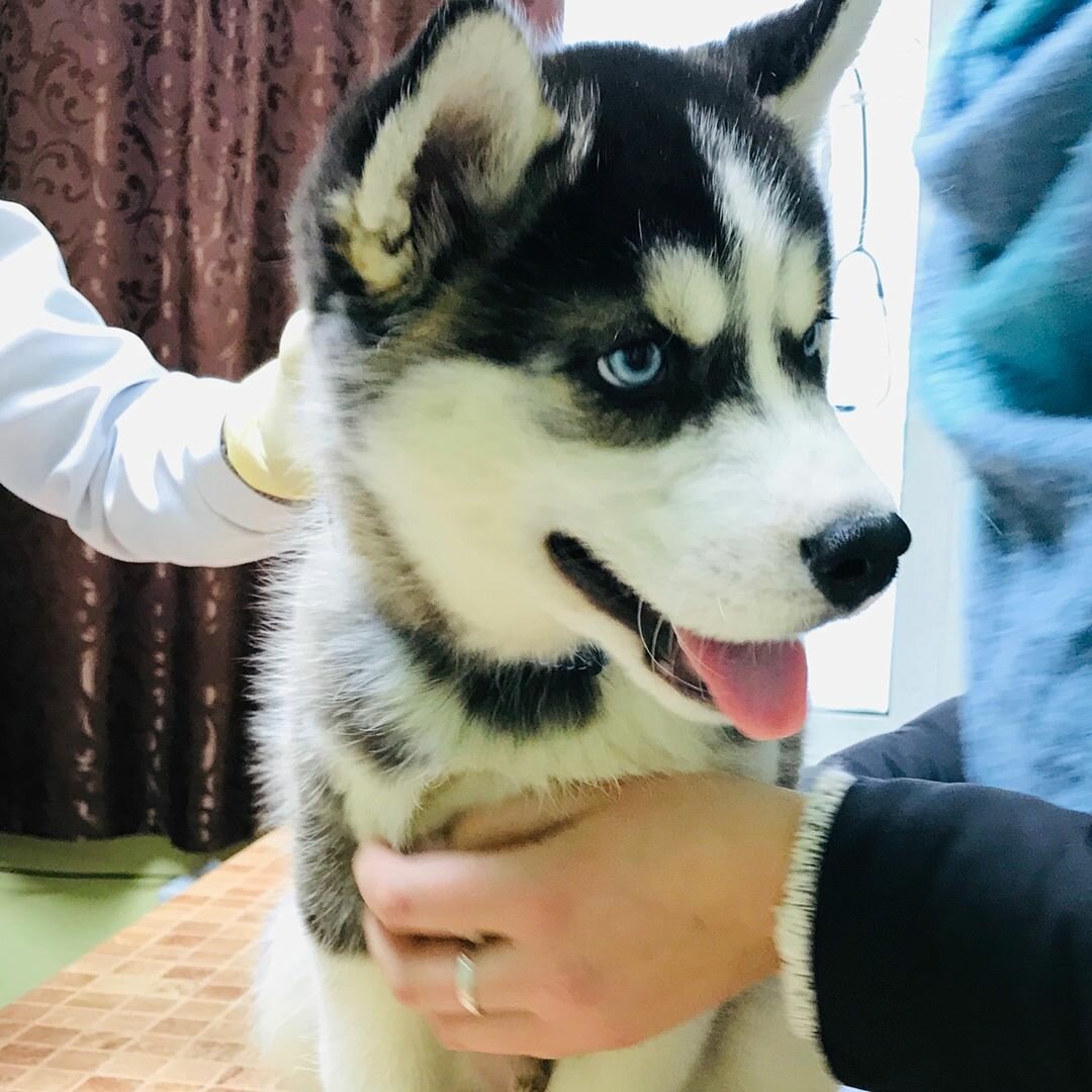 clinic general image