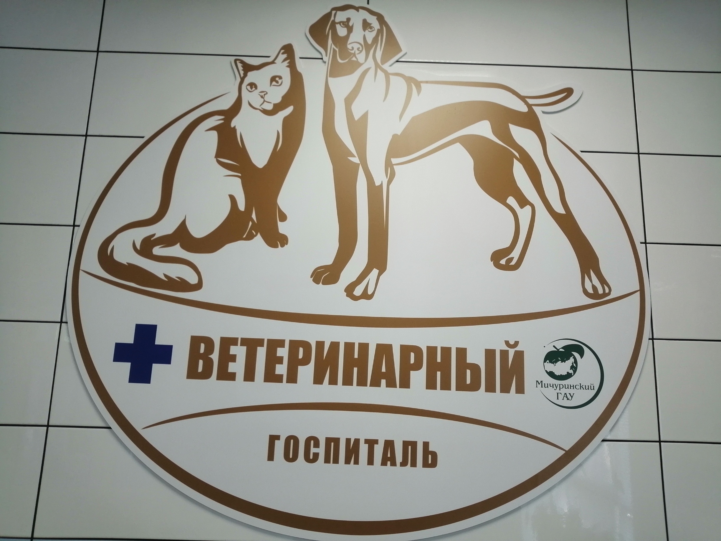 clinic logo