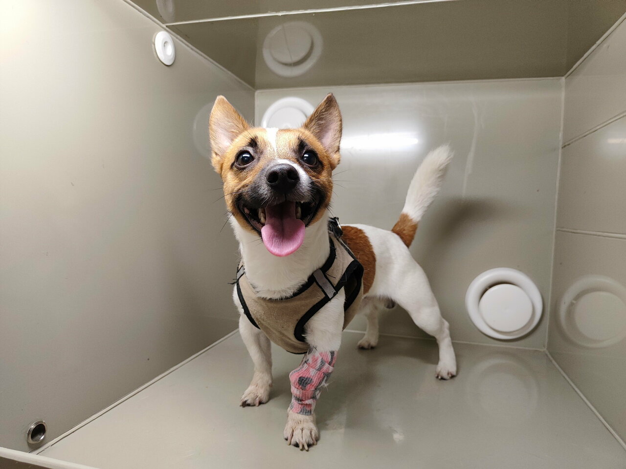 clinic general image