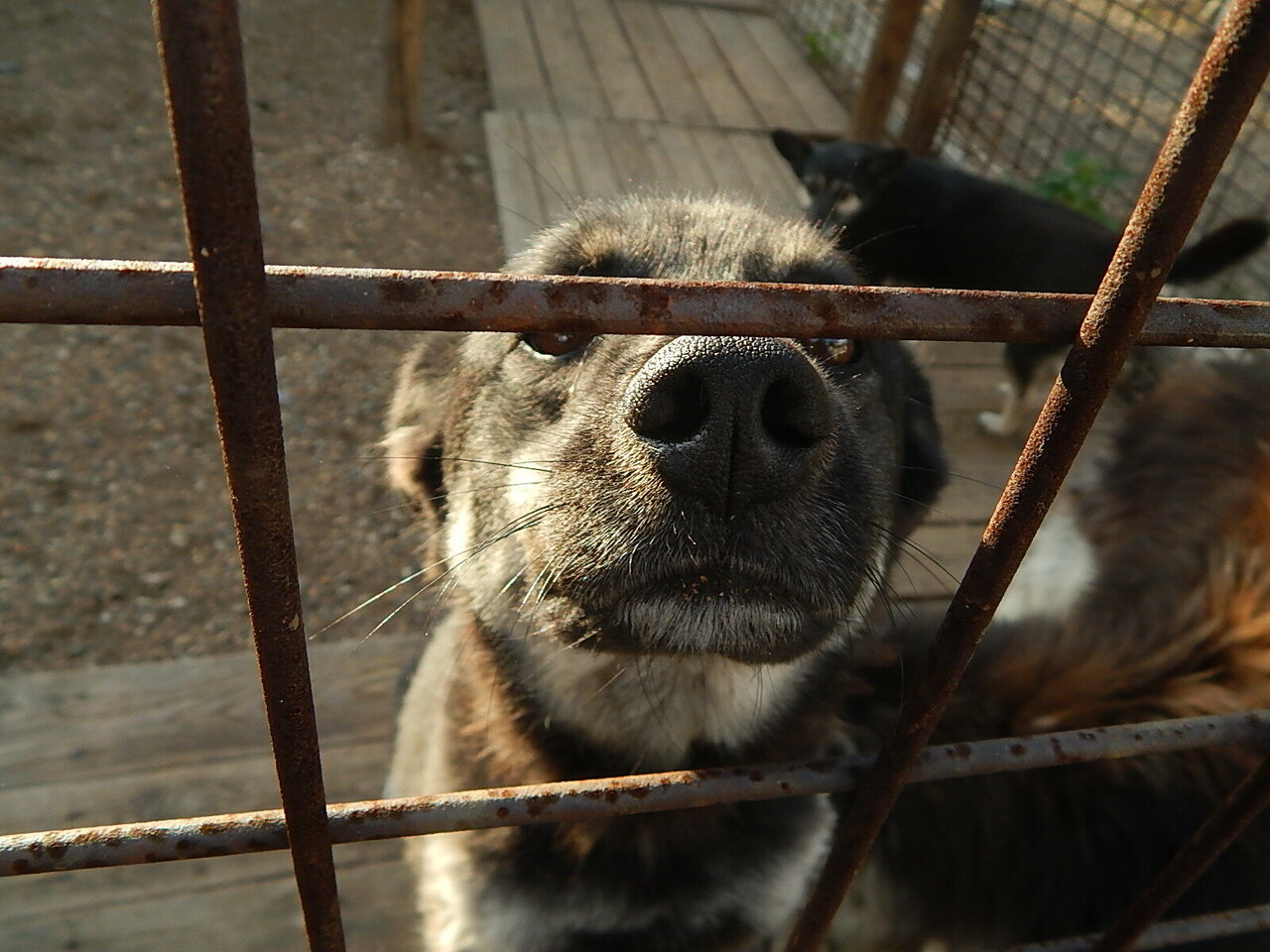 Планета добра