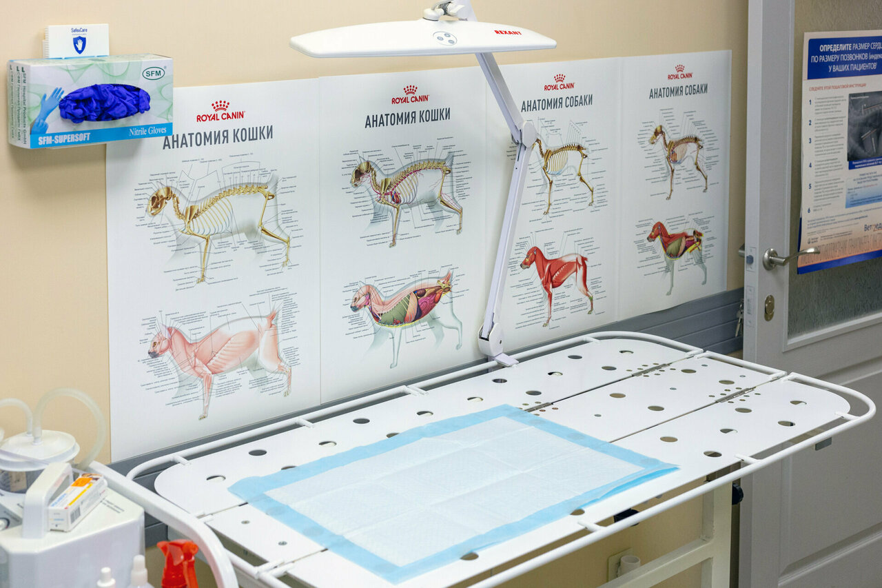 more clinic photos 55769