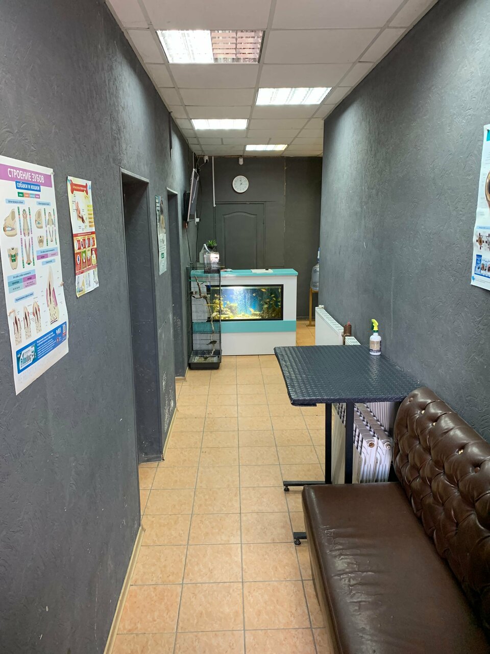 Фото клиники 46142