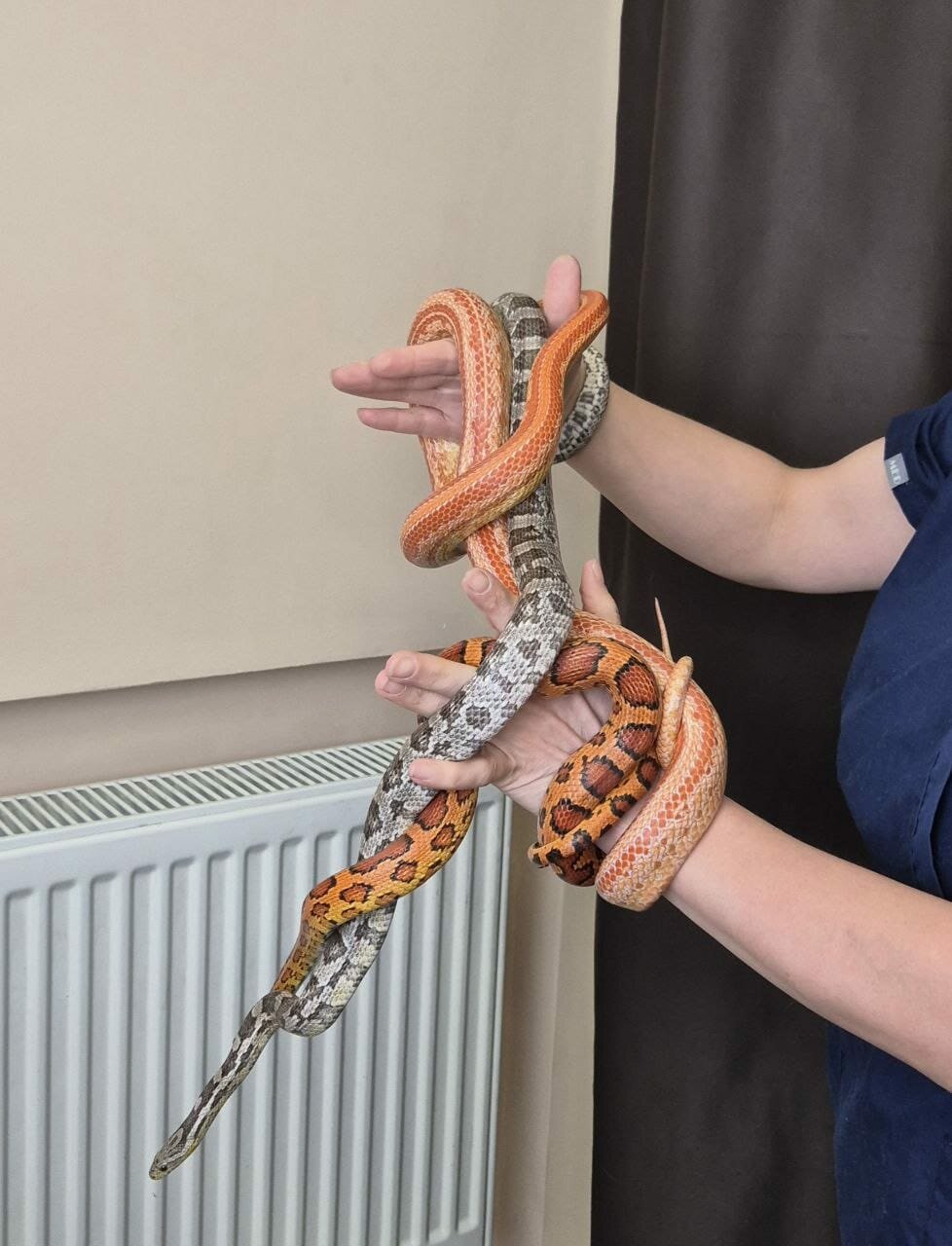 more clinic photos 70754