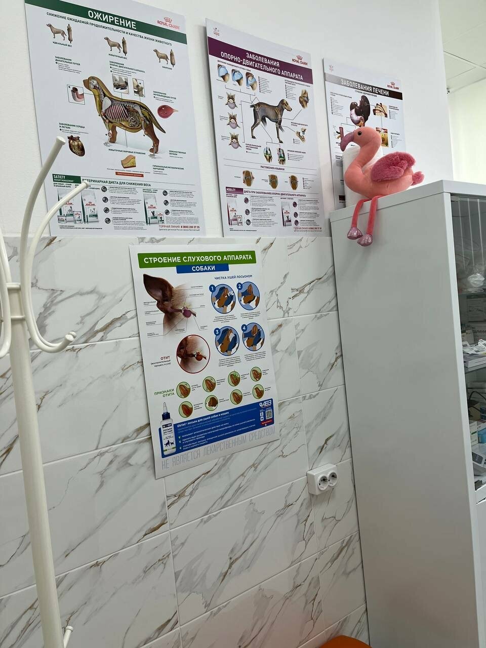 more clinic photos 14566