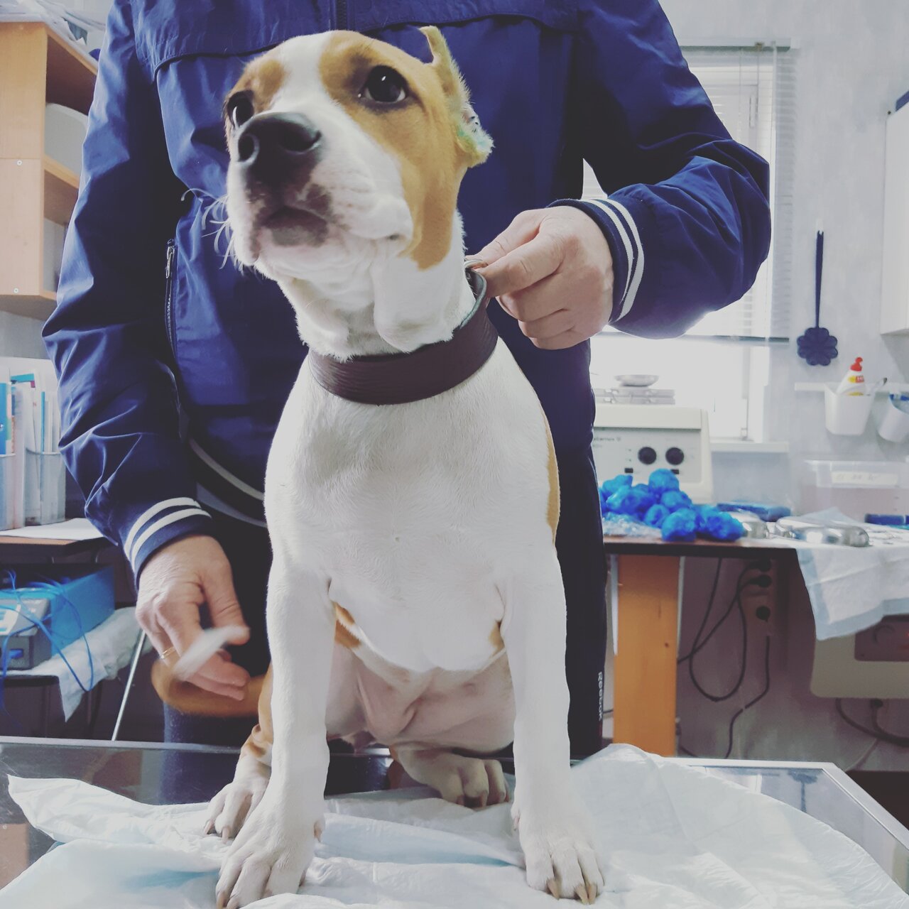 more clinic photos 36573