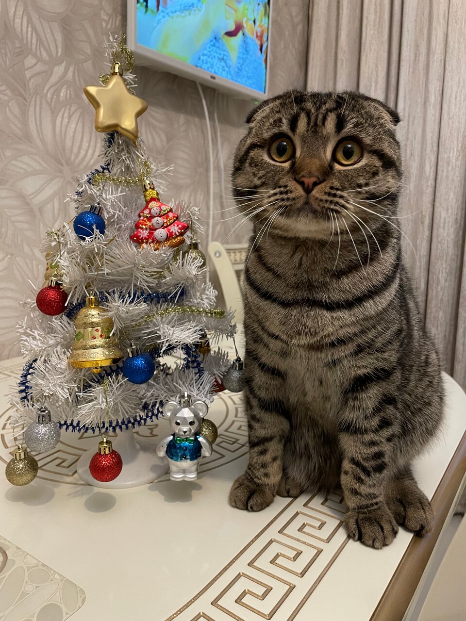 more clinic photos 38110