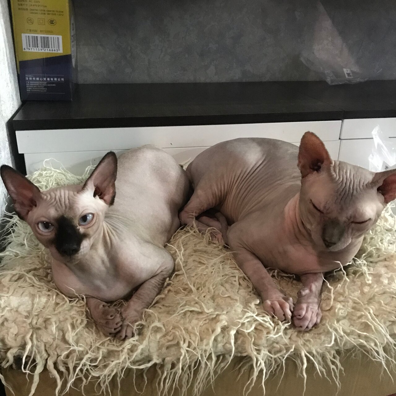 Ветеринарная лечебница