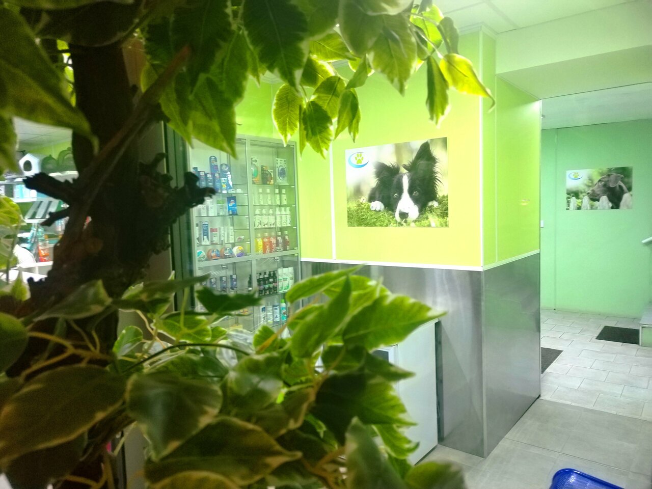 Городской ветеринарный центр