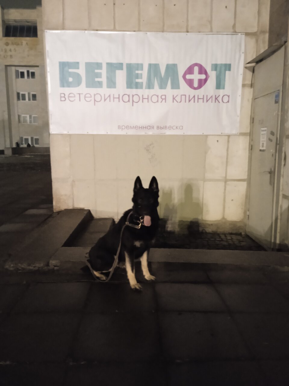 Фото клиники 10705