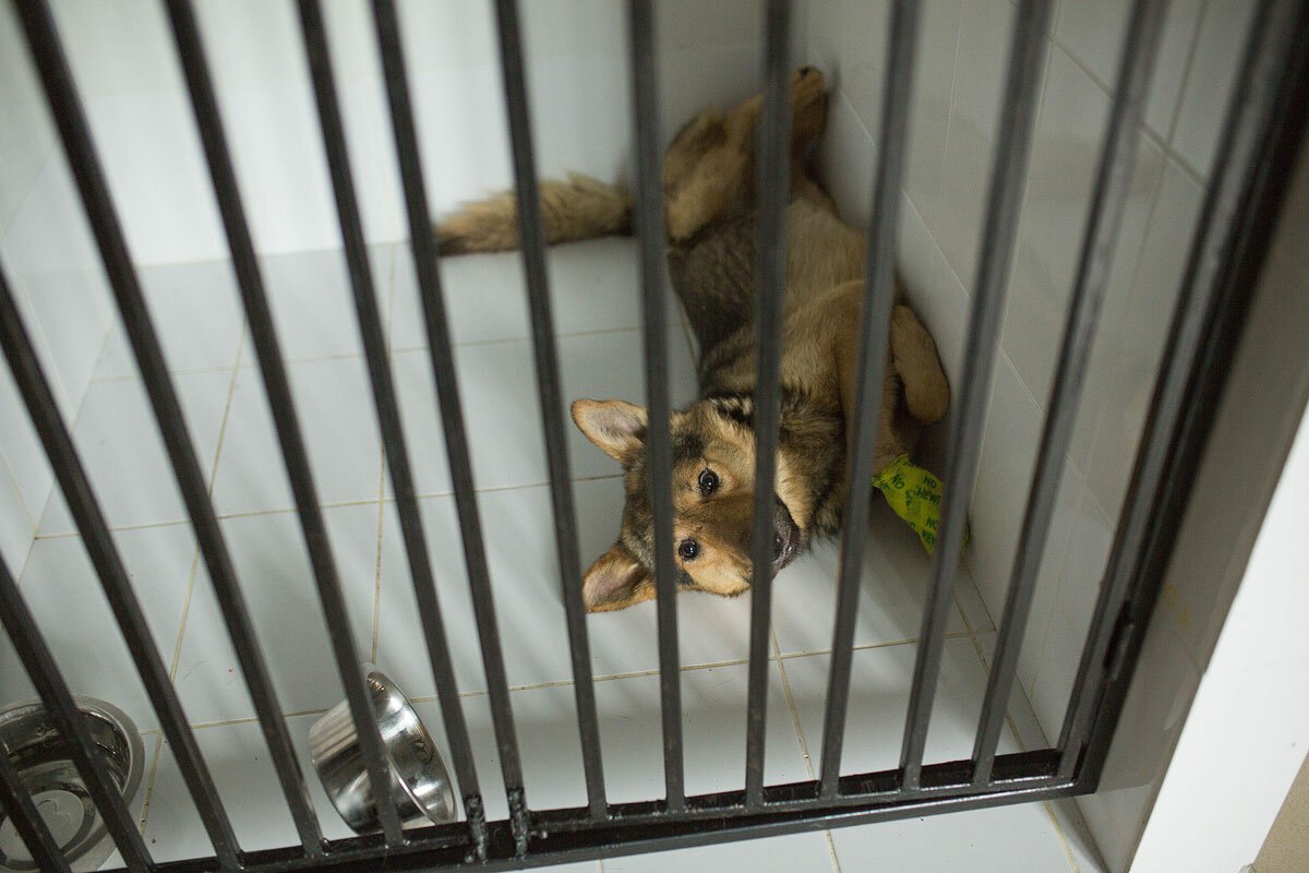 more clinic photos 11335