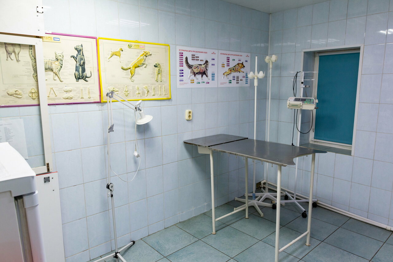 more clinic photos 44129