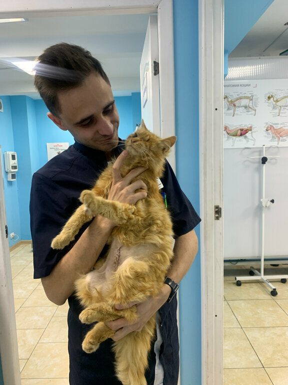 more clinic photos 38192