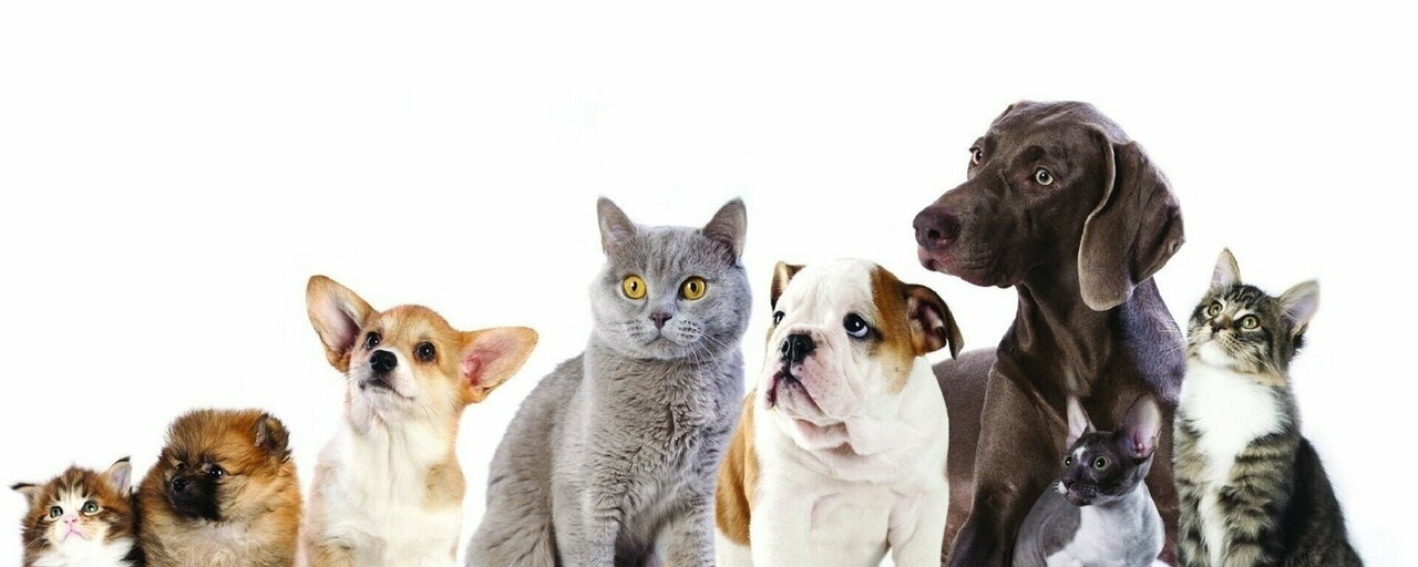 clinic general image