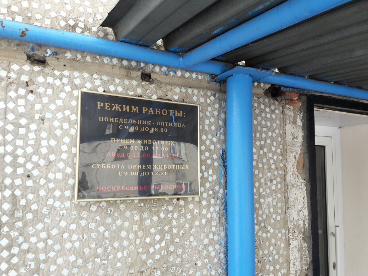 Усинский ветпункт