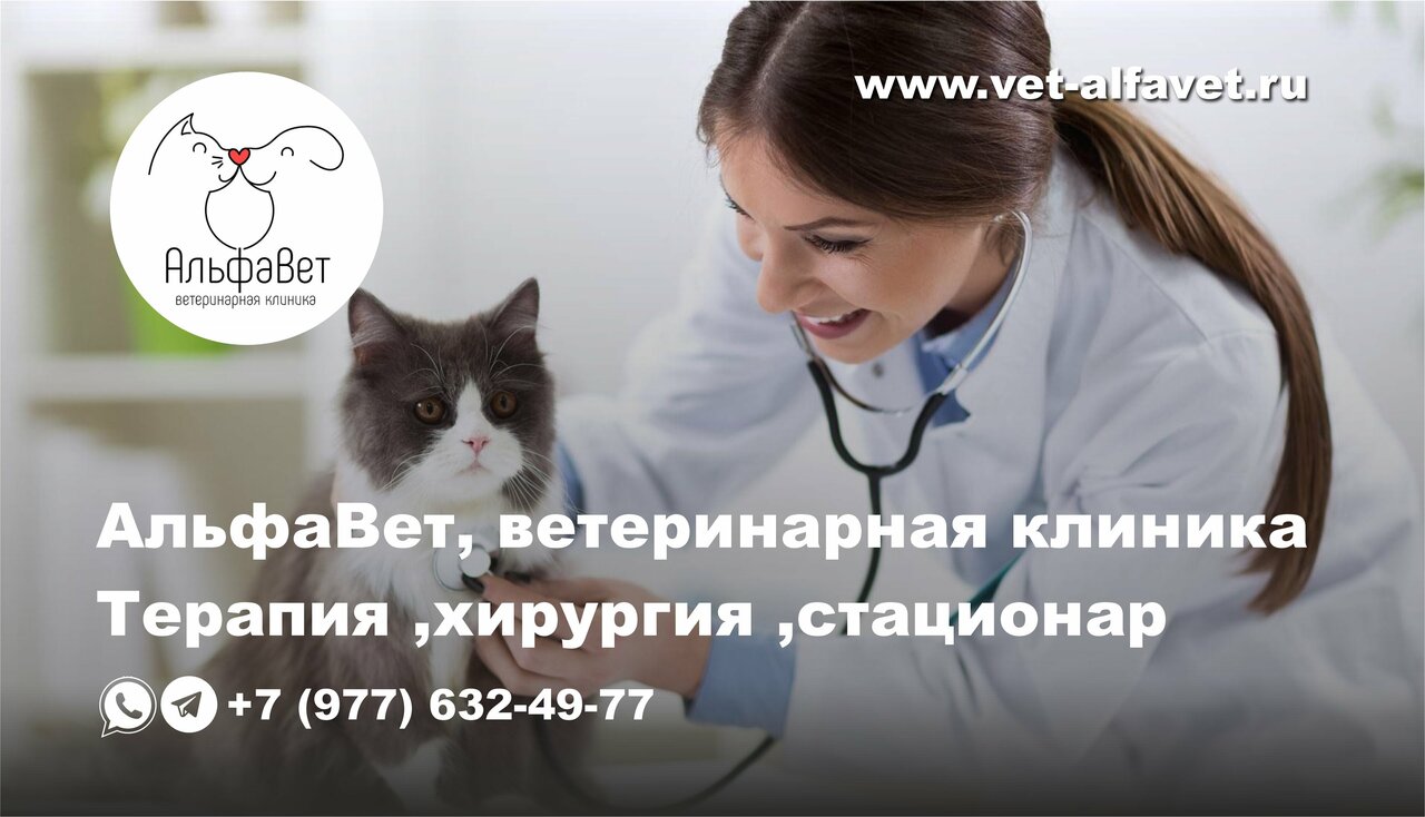 clinic general image