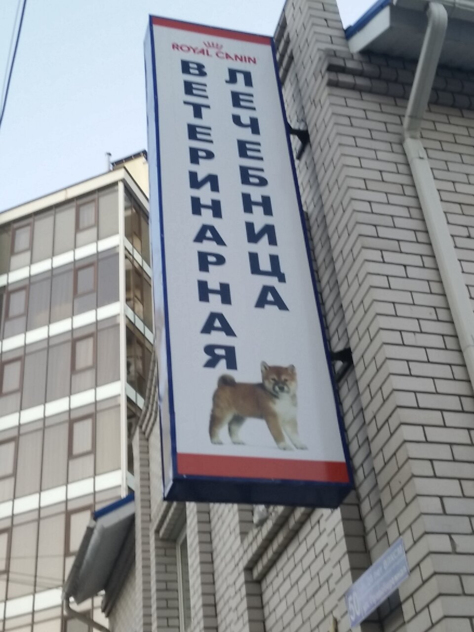 Фото клиники 5239
