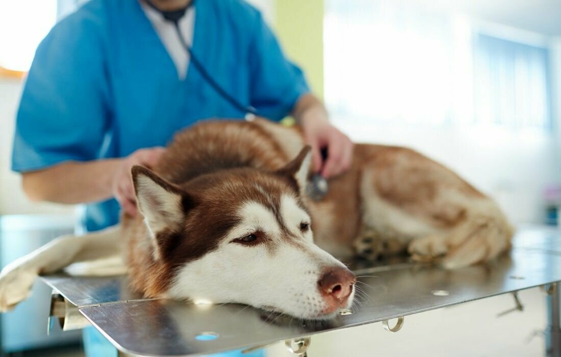 clinic general image