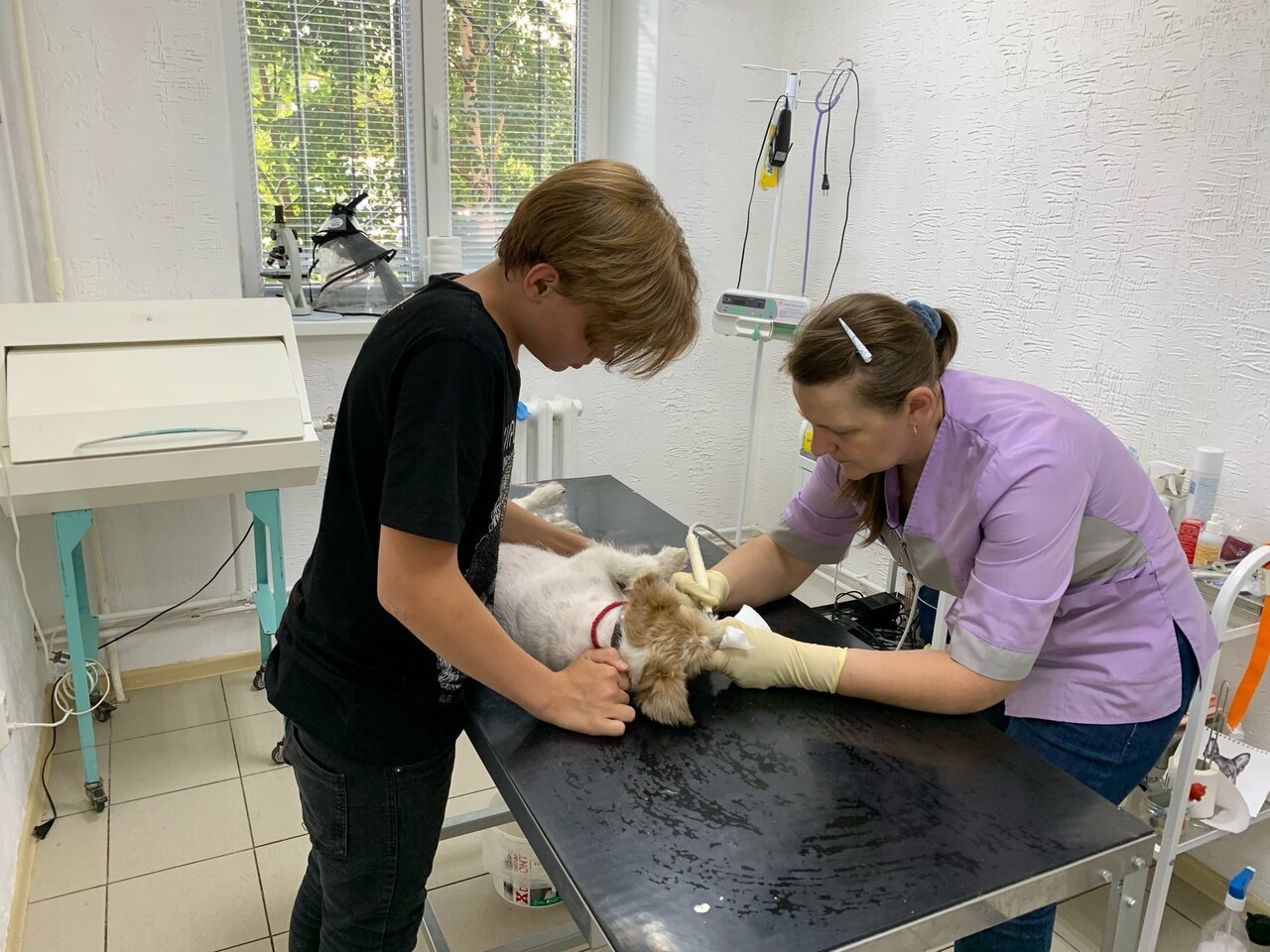 more clinic photos 81211