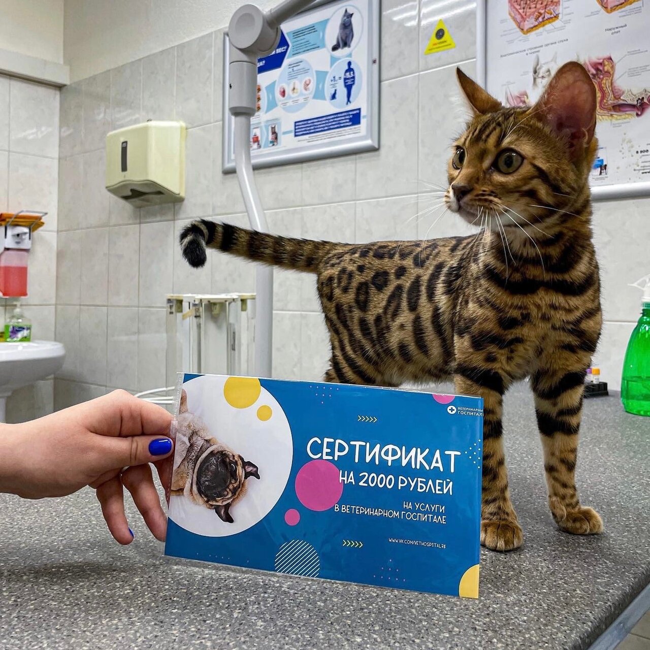 clinic general image