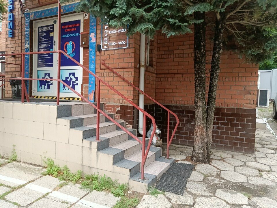 Фото клиники 66243