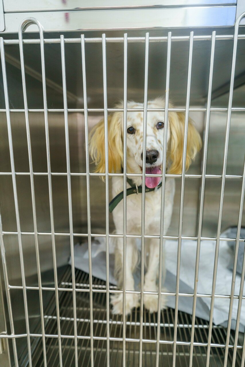 more clinic photos 16643