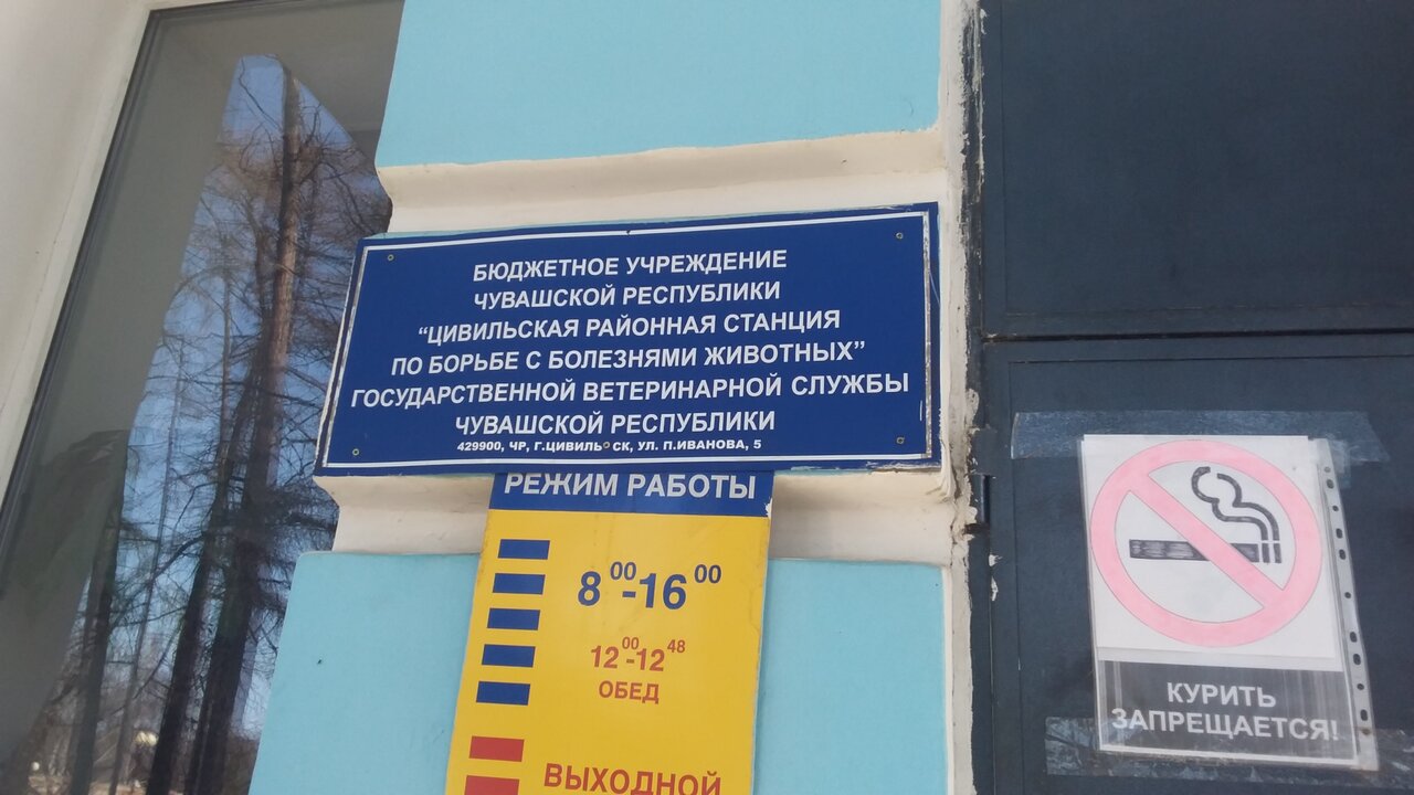 Цивильская районная ветстанция