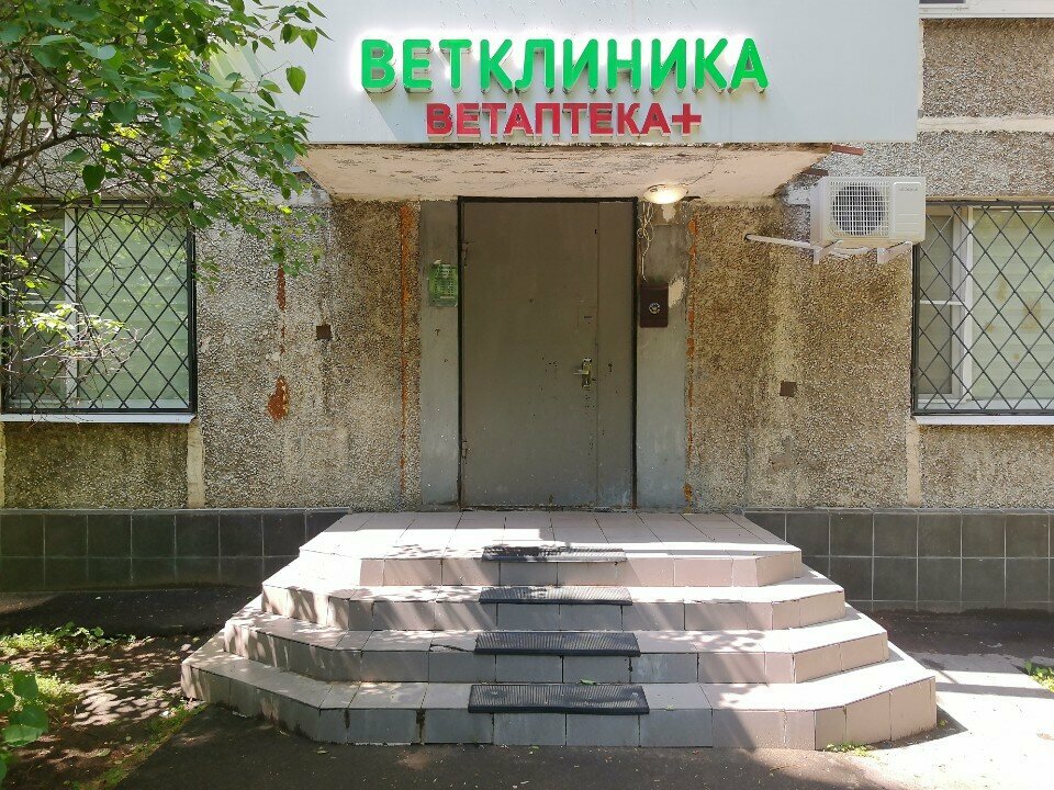 Фото «Ветклиника»