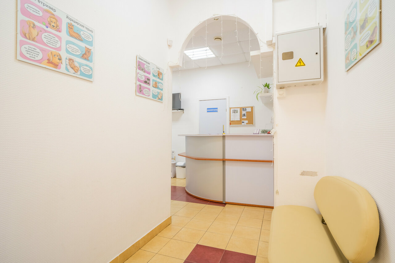 Фото клиники 55024