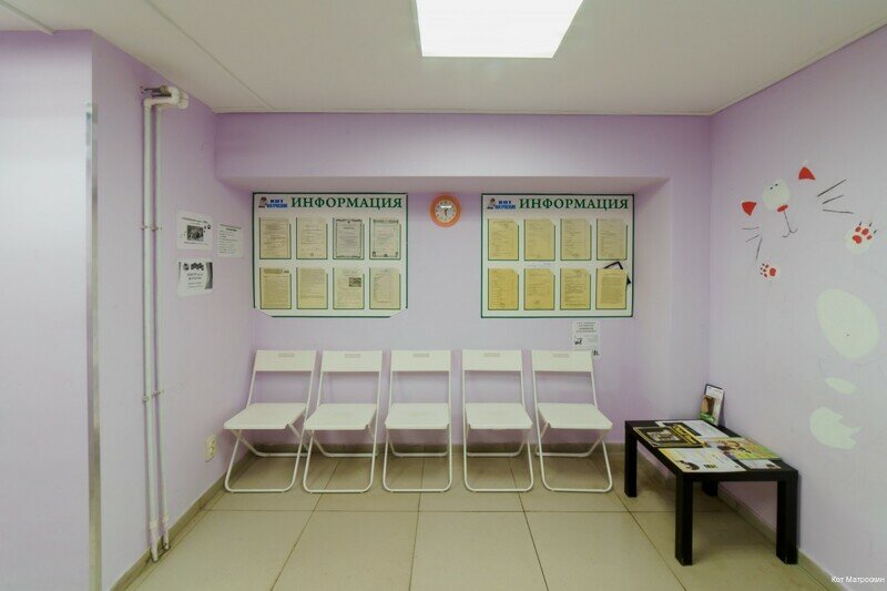 more clinic photos 3249