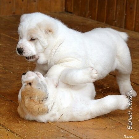 more clinic photos 80811