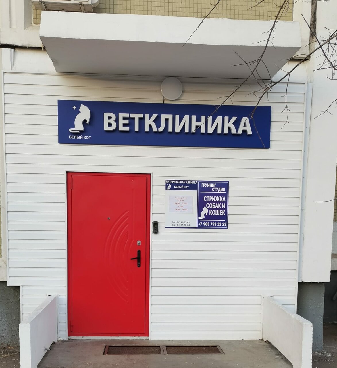 Фото клиники 68539