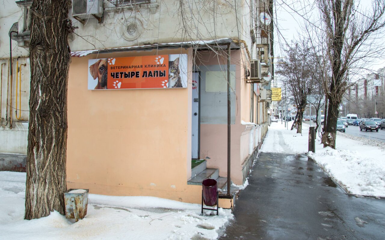 Фото клиники 66104