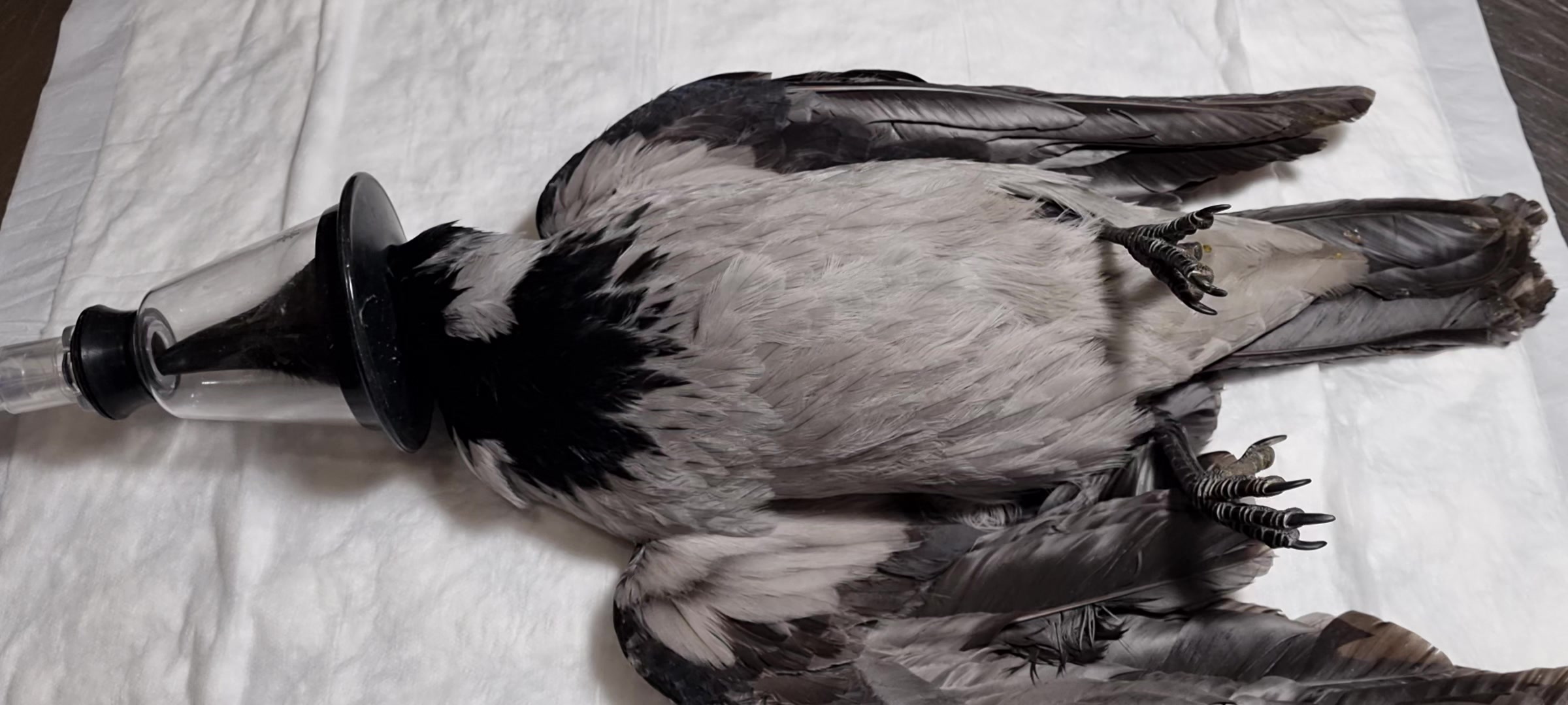 clinic general image