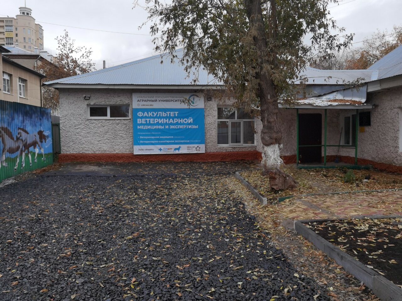 Центр реабилитации животных