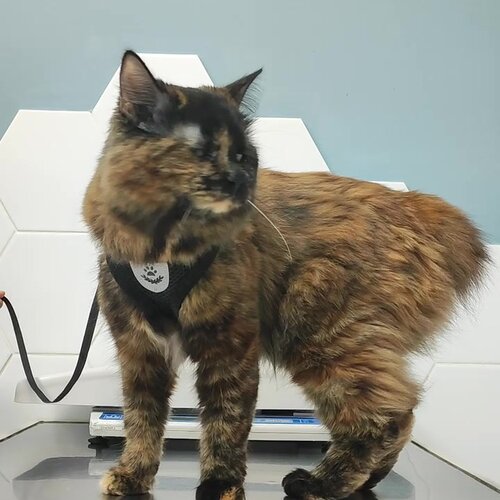 clinic general image