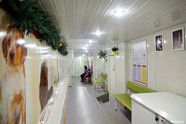 Фото клиники 61110