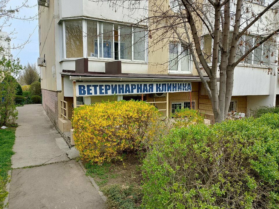 Главное фото клиники