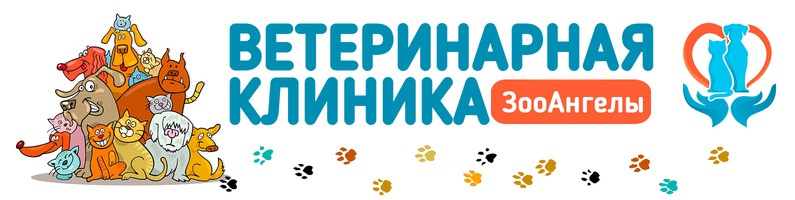 clinic logo