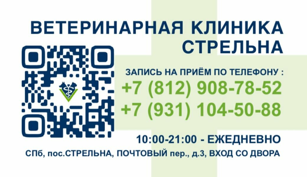 Фото клиники 34528
