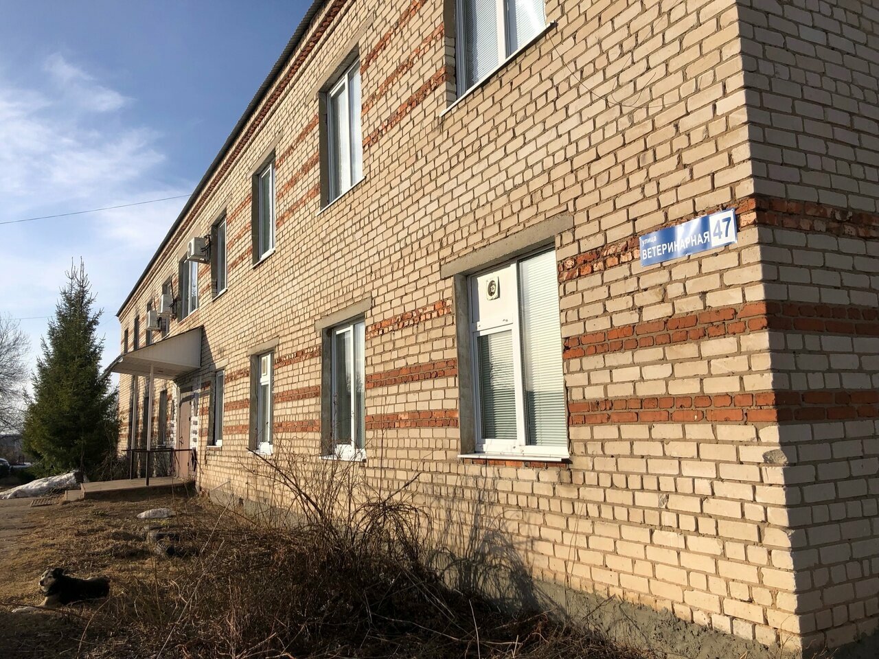 Фото клиники 29846
