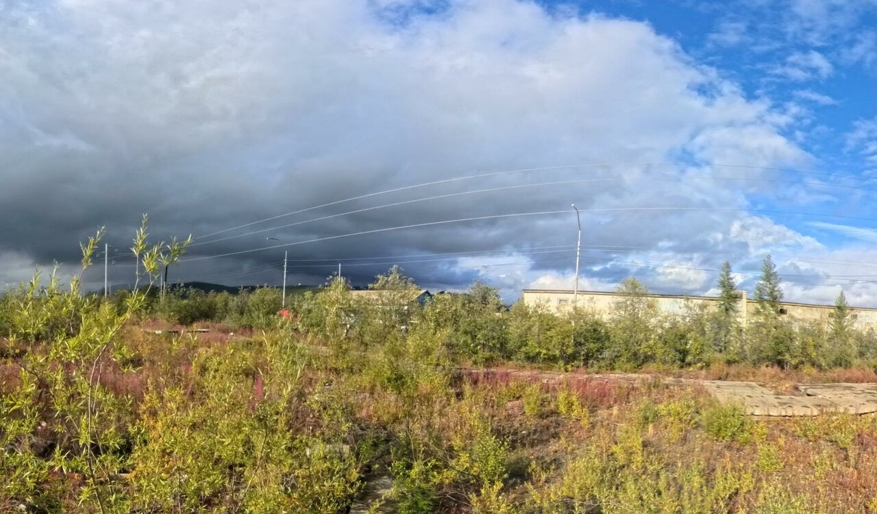 Станция по борьбе с болезнями животных